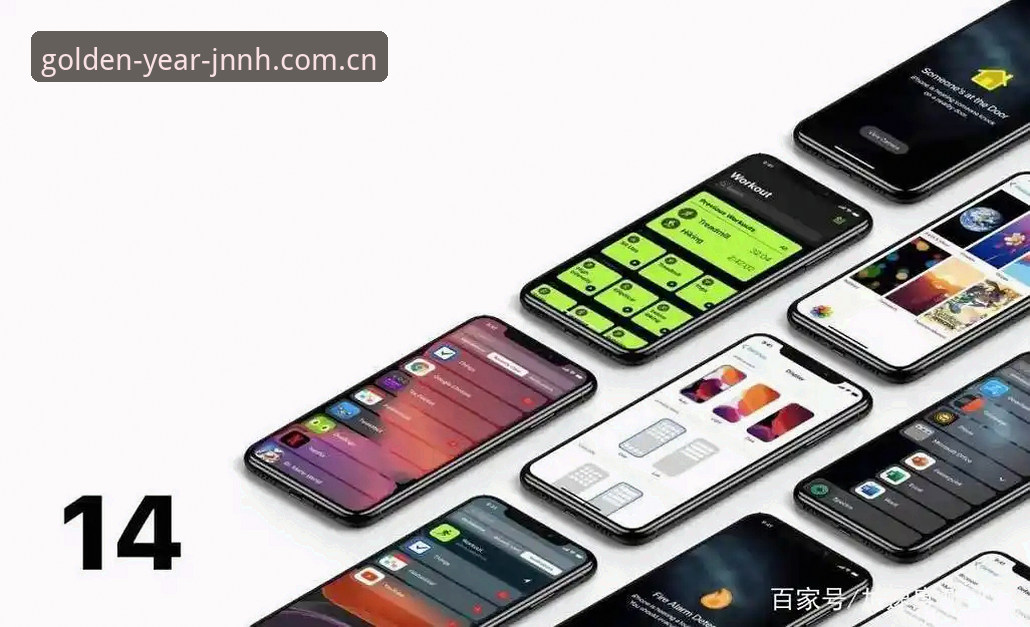 金年汇手机客户端iOS版 揭秘金年汇手机客户端iOS版:专业分析背后的用户体验真相
